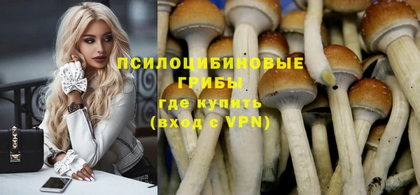 ГАЛЛЮЦИНОГЕННЫЕ ГРИБЫ Красноперекопск
