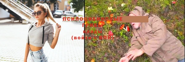 хмурый Куйбышев