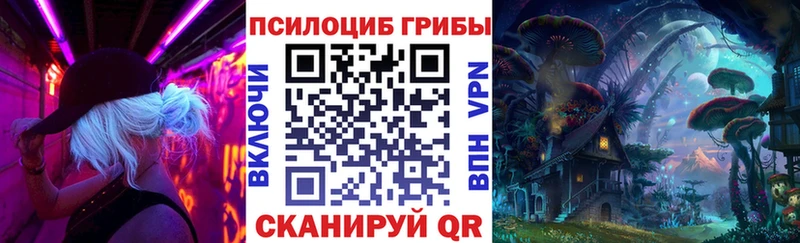 Купить где  Бакал  Галлюциногенные грибы ЛСД 